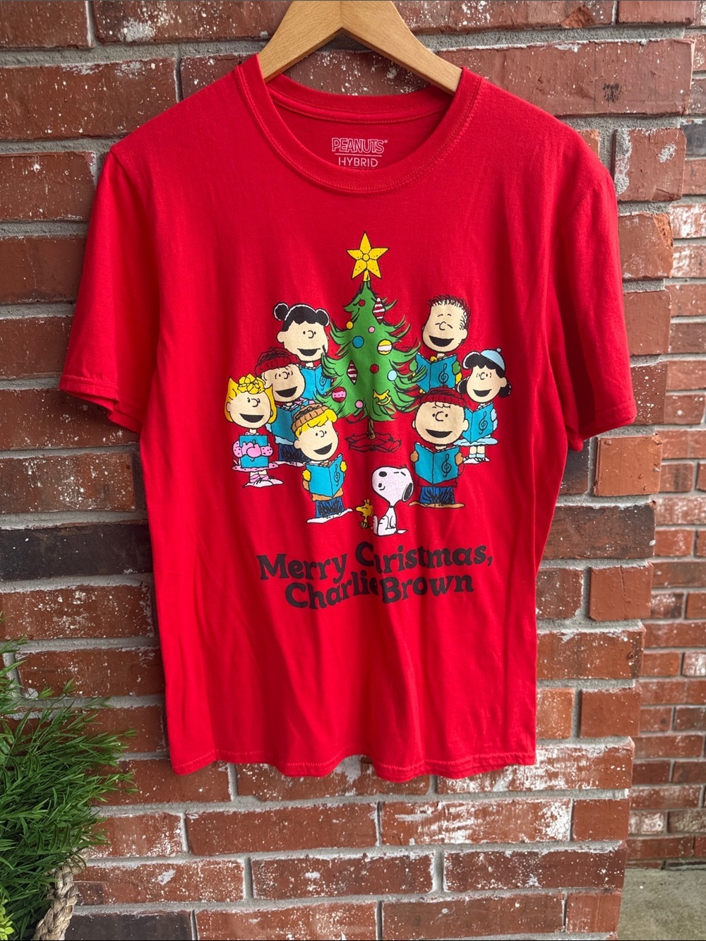 Peanuts Merry Christmas Charlie Brown Red Graphic Tee